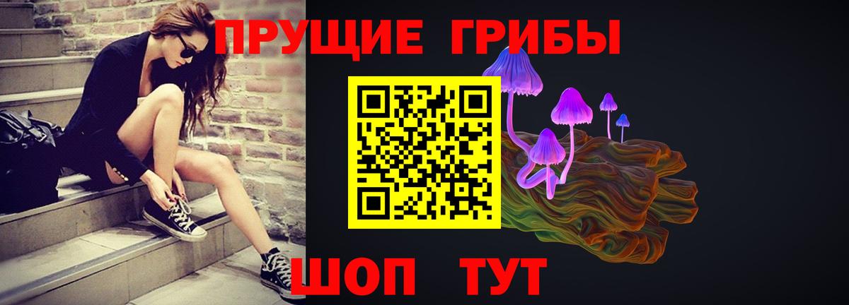Фурманов  что такое наркотик  Вход с VPN  Галлюциногенные грибы Cubensis 